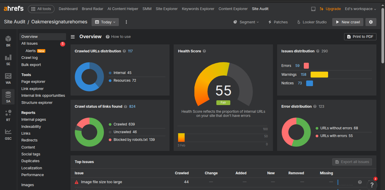 Ahrefs site audit before rebuild